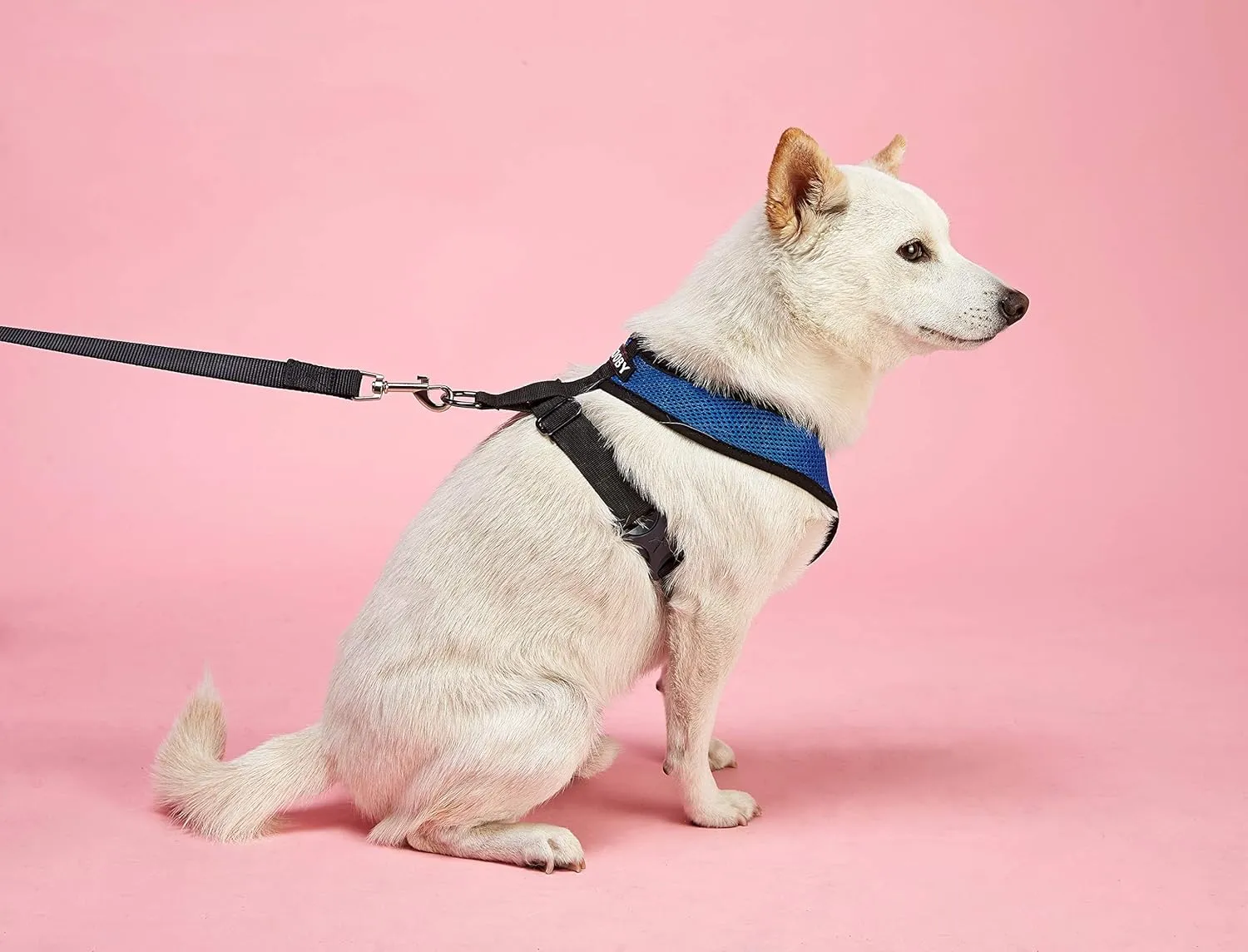 Gooby Comfort X Head in Harness - Red, Large - No Pull Small Dog Harness, Patented Choke-Free X Frame - Perfect on The Go Dog Harness for Medium Dogs No Pull or Small Dogs for Indoor and Outdoor Use