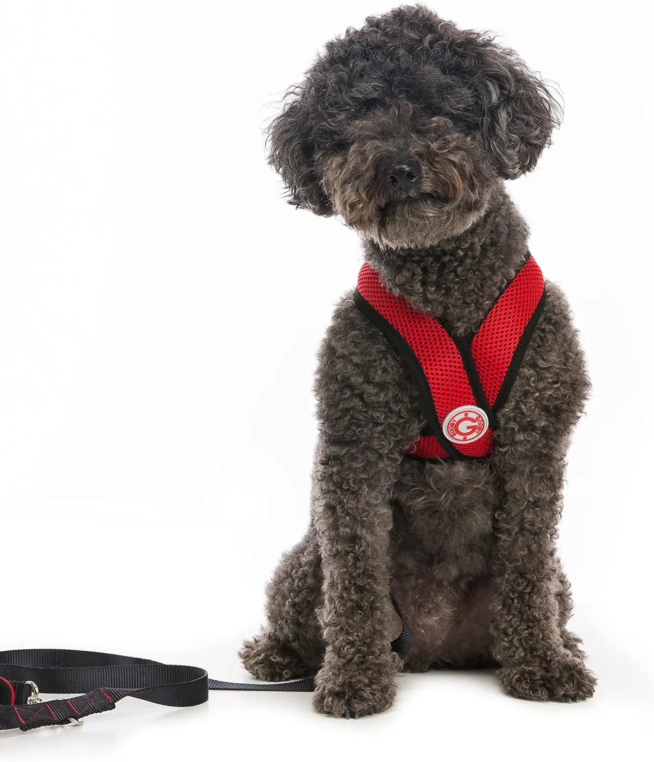 Gooby Comfort X Head in Harness - Red, Large - No Pull Small Dog Harness, Patented Choke-Free X Frame - Perfect on The Go Dog Harness for Medium Dogs No Pull or Small Dogs for Indoor and Outdoor Use