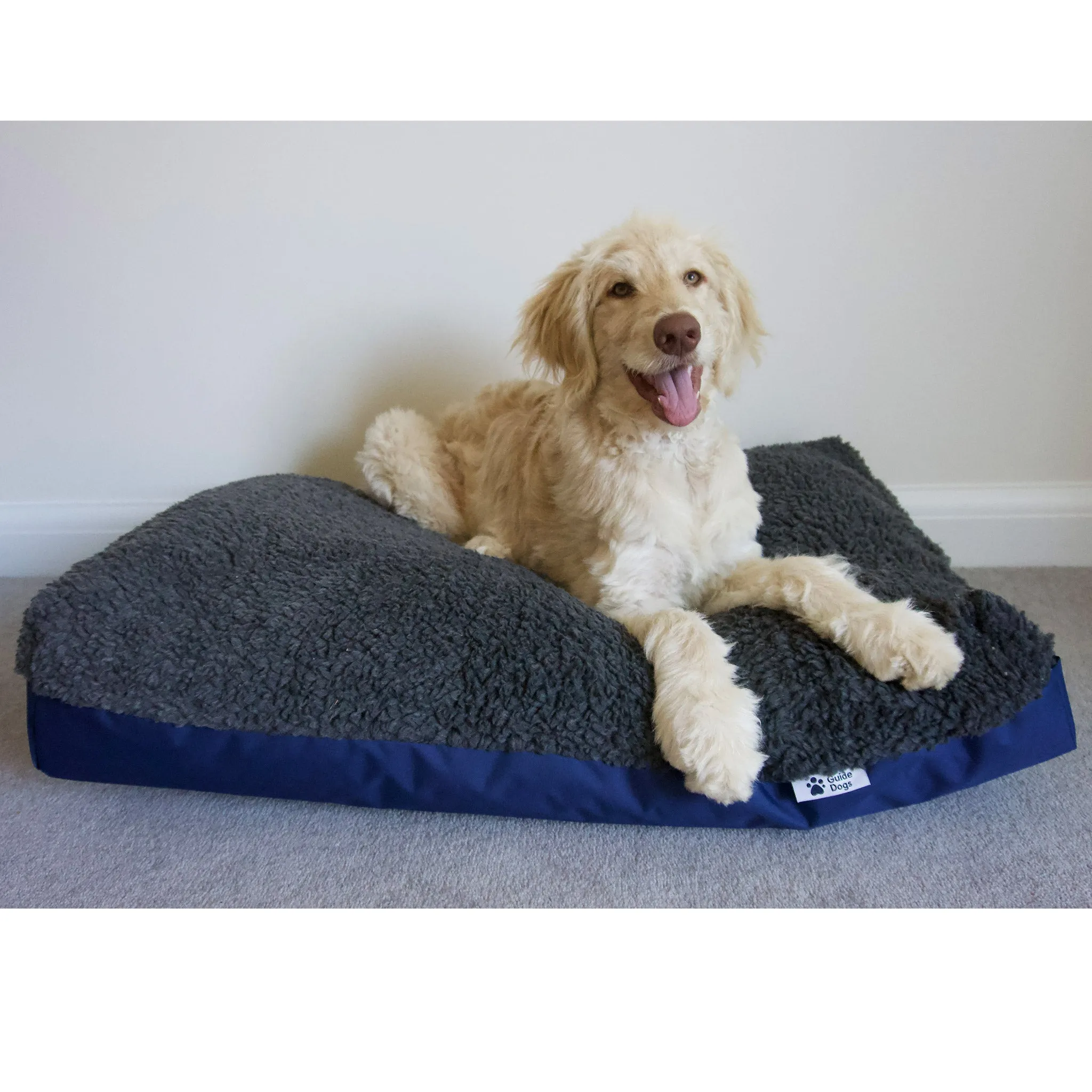 Guide Dogs dog bed