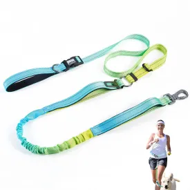 Heavy Duty Hands Free Dog Leash, 5-7 FT Reflective Adjustable Waist Dog Leash Belt with Padded Handles, Shock Absorbing Bungee and Car Seat Belt for Large Medium Dogs (Yellow Blue, XL)