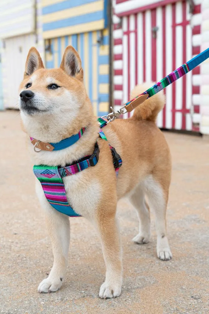 Inca Blue Dog Harness