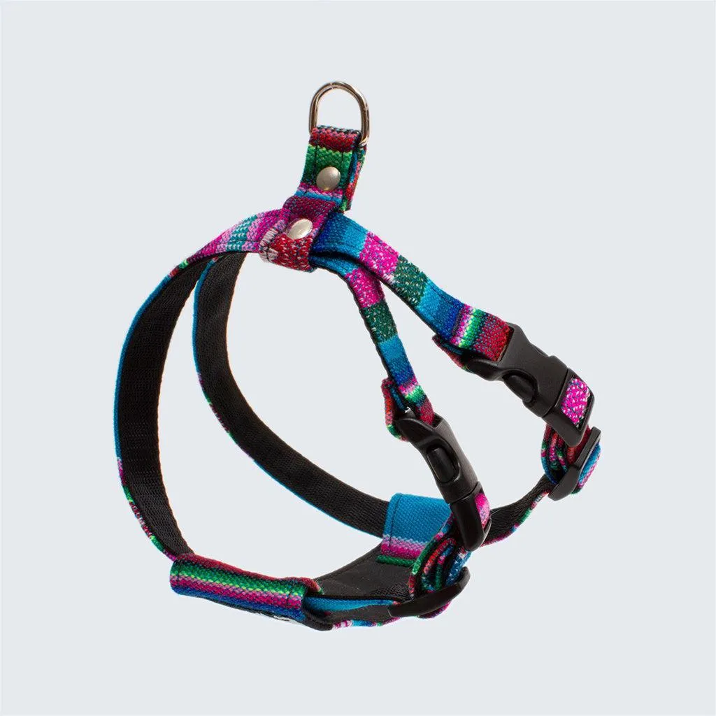 Inca Blue Dog Harness
