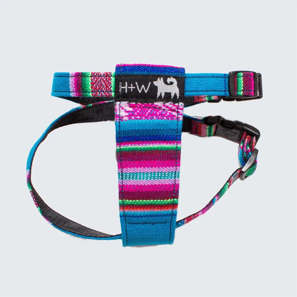 Inca Blue Dog Harness