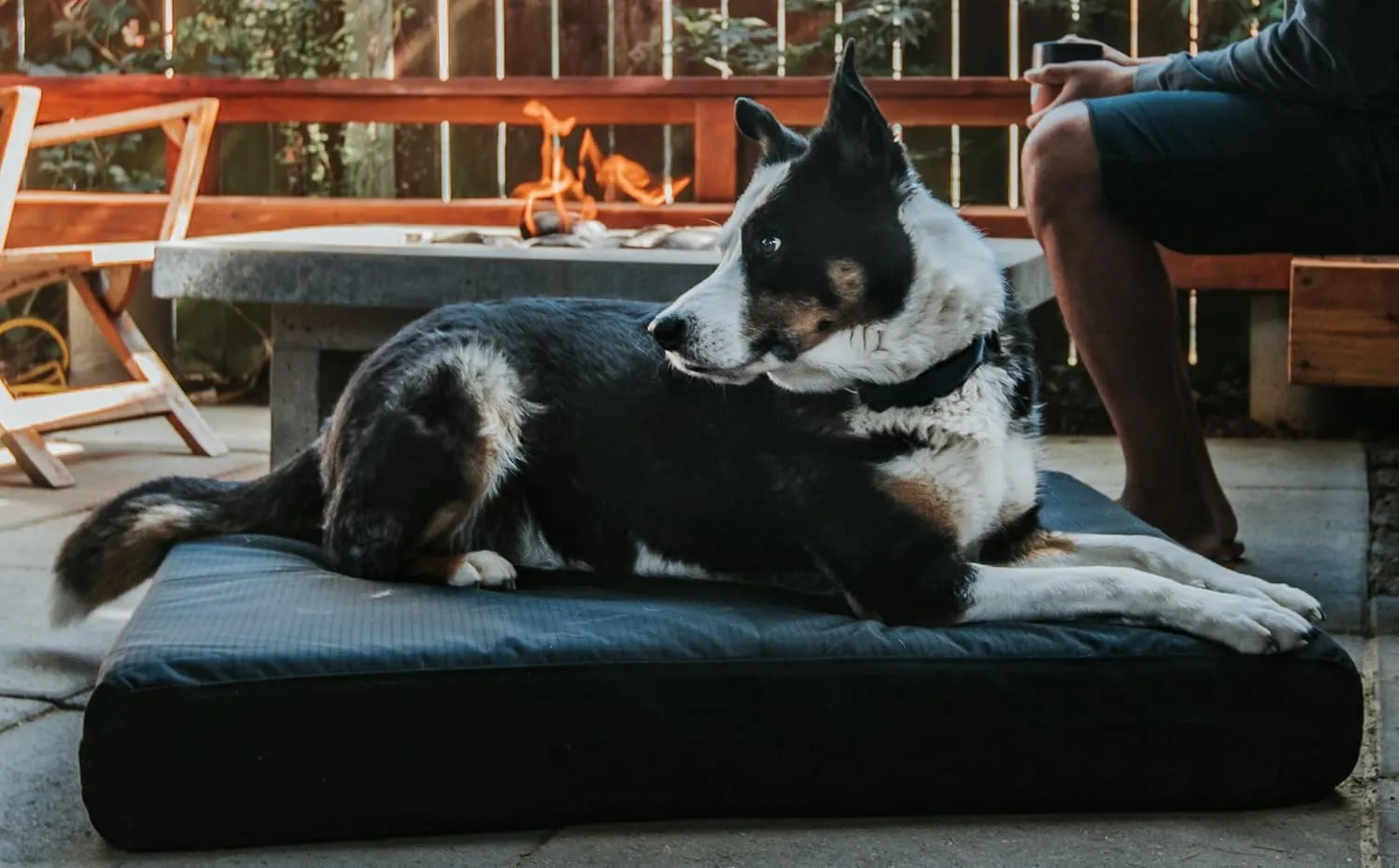 K9 Ballistics Tough Rectangle Dog Bed - Large, Durable, Chew Resistant, Removable Washable Cover, Solid Orthopedic Foam Mattress - 40"x34", Obsidian Black