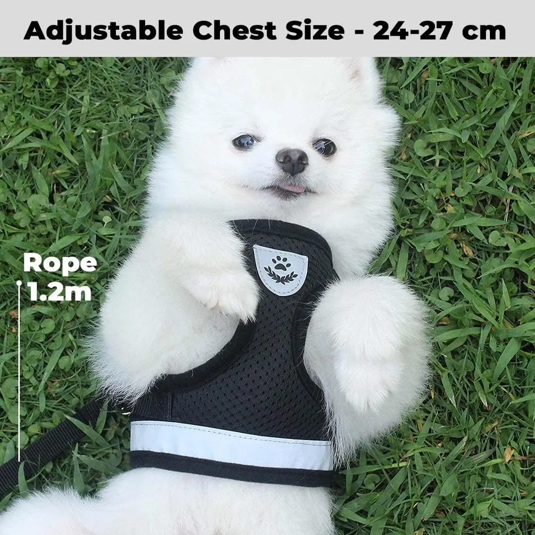 Kuber Industries Reflective Dog Harness With Adjustable Leash|Breathable Polyester Mesh Fabric |XL Size|HT-844|Comfortable No-Pull Grip|Quick Release Buckles|Easy On-Easy Off Harness|Black (Pack Of 6)