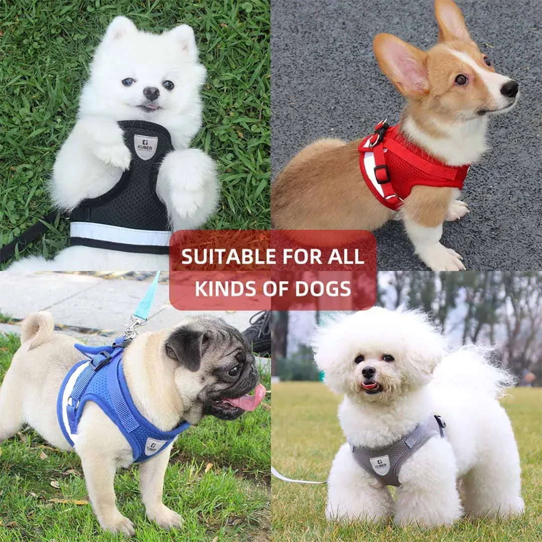 Kuber Industries Reflective Dog Harness With Adjustable Leash|Breathable Polyester Mesh Fabric |XL Size|HT-844|Comfortable No-Pull Grip|Quick Release Buckles|Easy On - Easy Off Harness|Red (Pack Of 6)