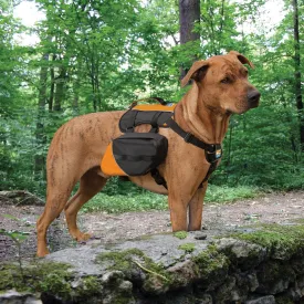 Kurgo Baxter Backpack Black/Orange Dog Harness