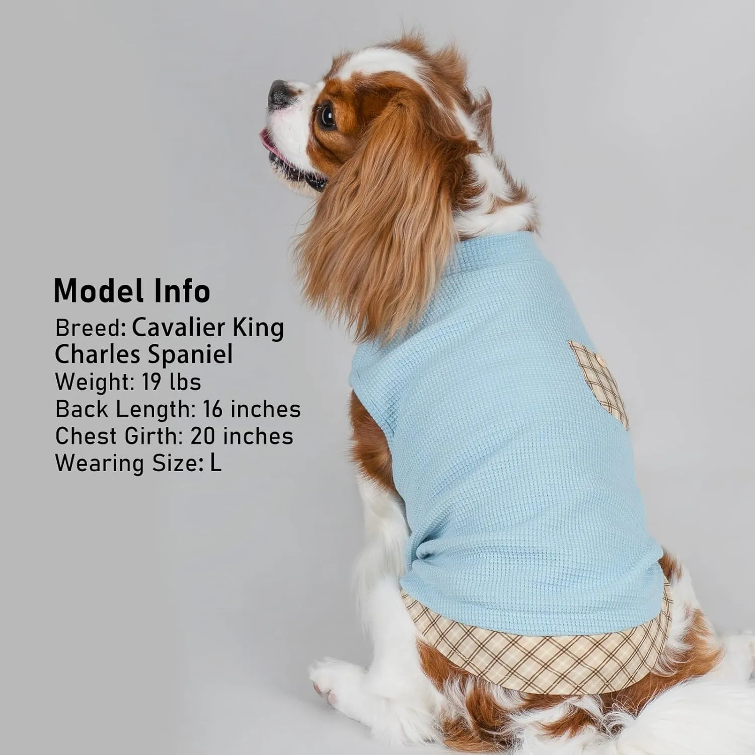KYEESE Waffle Dog Shirt, Blue, L-Chest(18), Soft Stretchy, Lightweight, Breathable, Sleeveless, Plaid Patchwork, Small Breeds, Round Neck