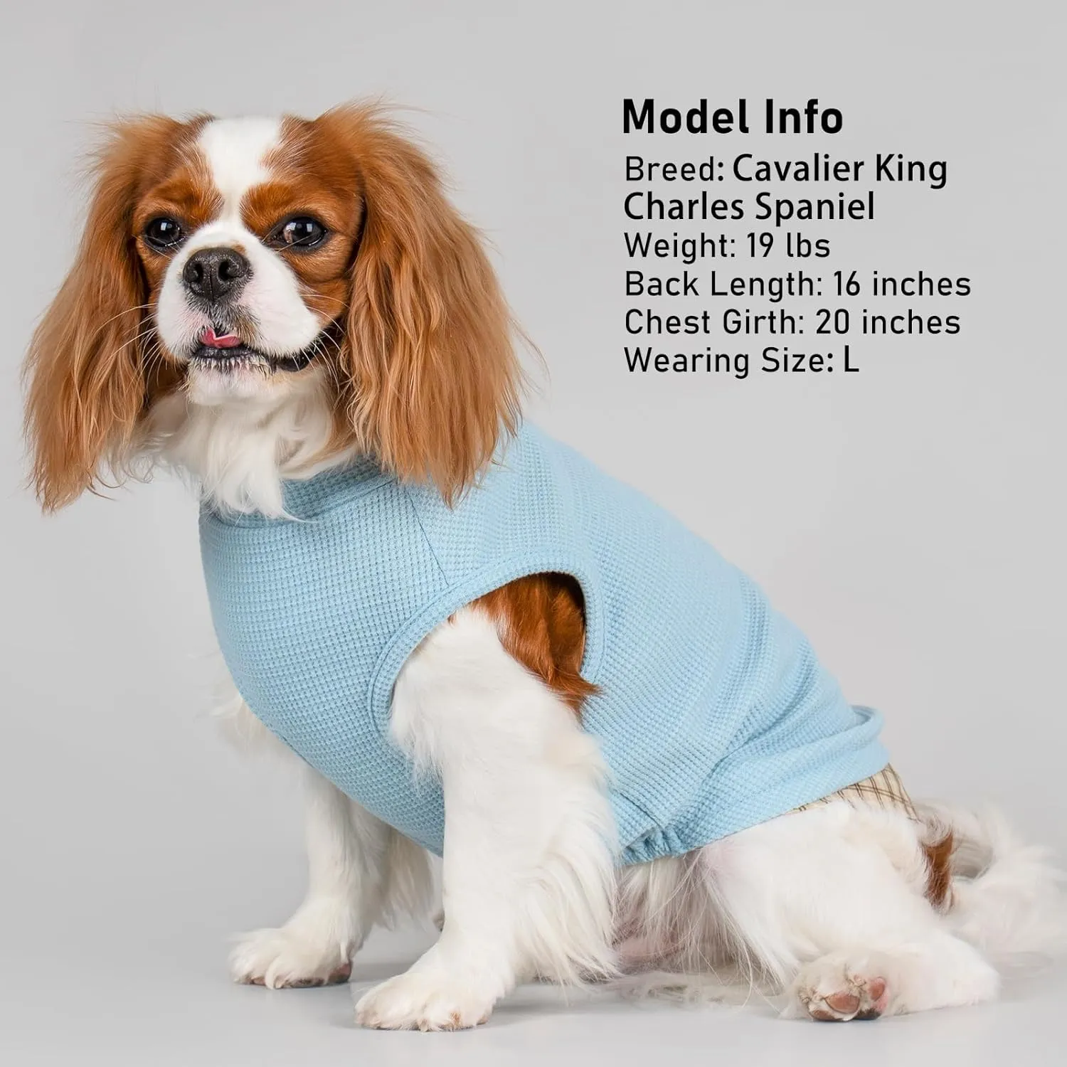 KYEESE Waffle Dog Shirt, Blue, L-Chest(18), Soft Stretchy, Lightweight, Breathable, Sleeveless, Plaid Patchwork, Small Breeds, Round Neck