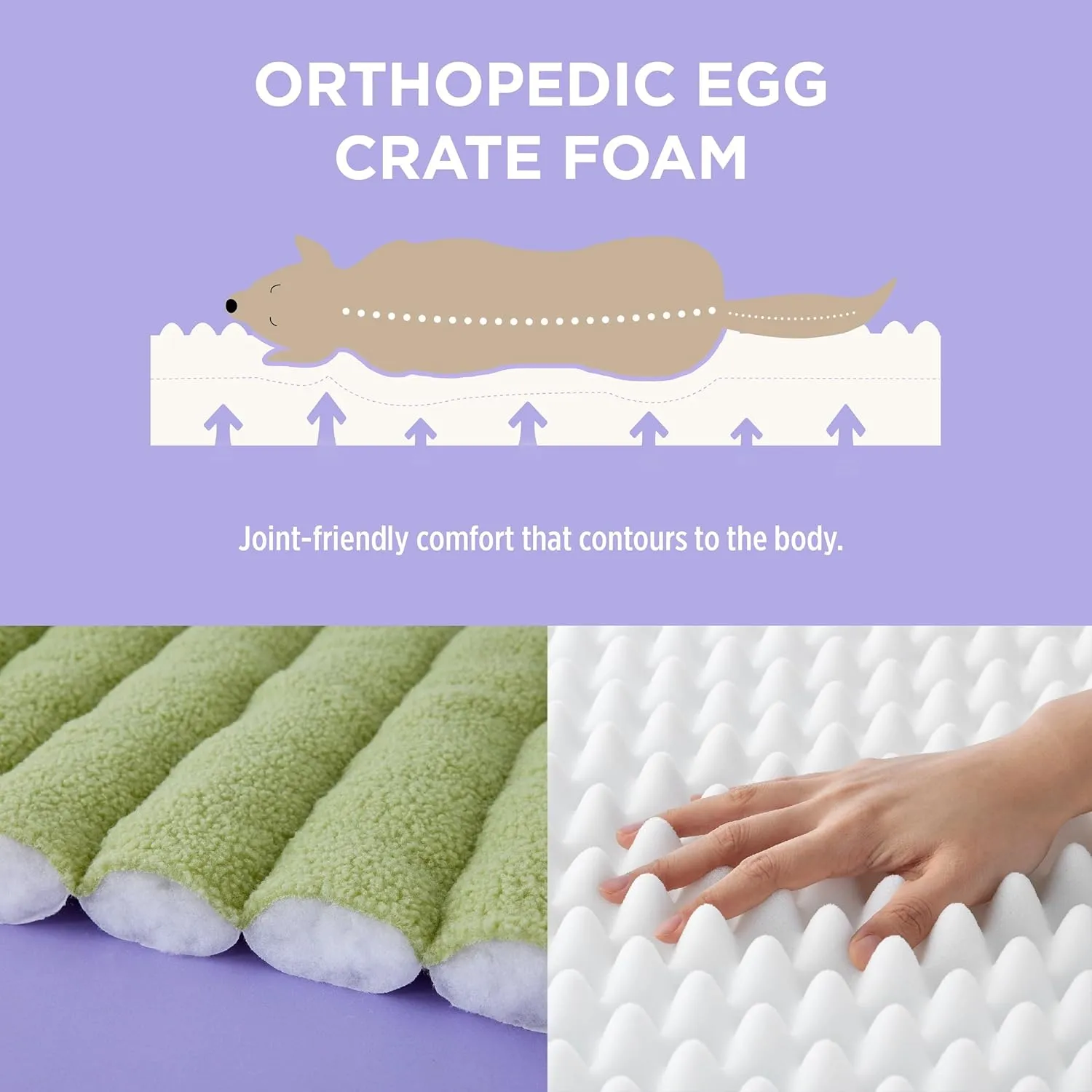 Lesure Orthopedic Dog Bed Sofa for Large Dogs, Waterproof Dog Couch with Removable Washable Cover, Cute Aesthetic Pet Sofa Couch with Egg Crate Foam (Green, 35.0" L x 25.0" W x 10.5" Th)