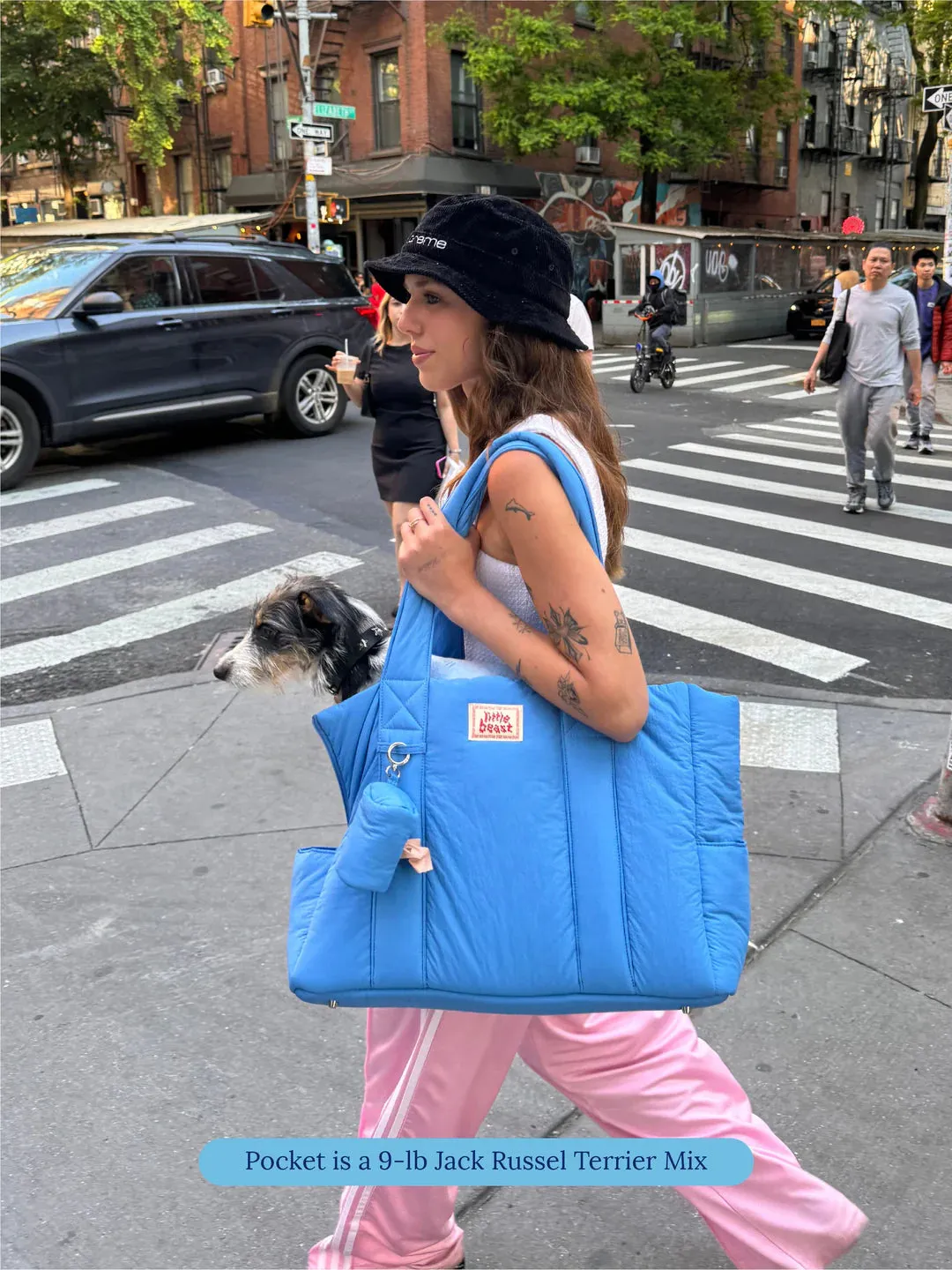 Little Beast Carrier - Blue