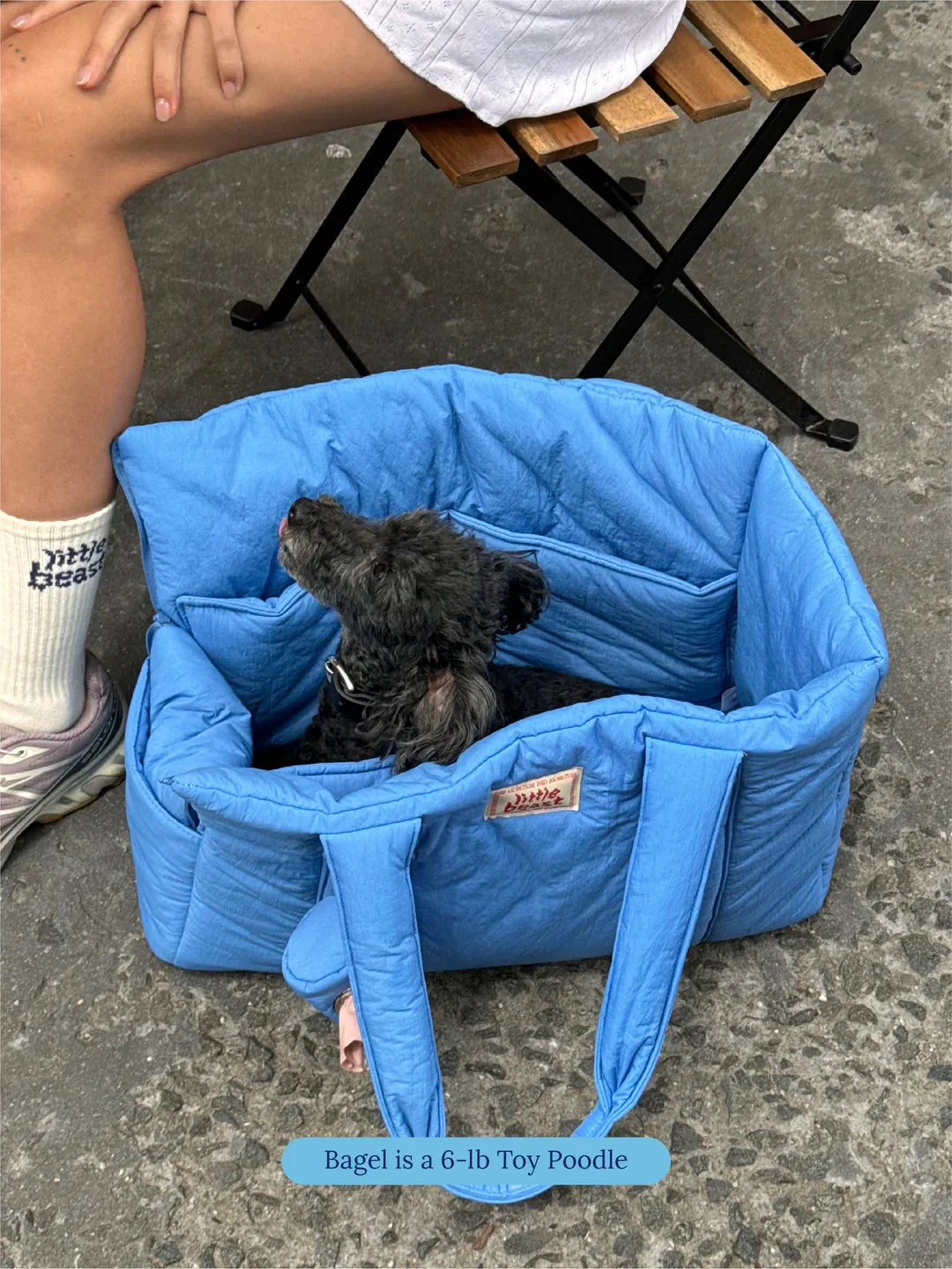 Little Beast Carrier - Blue
