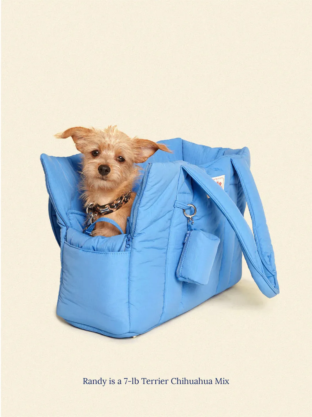Little Beast Carrier - Blue