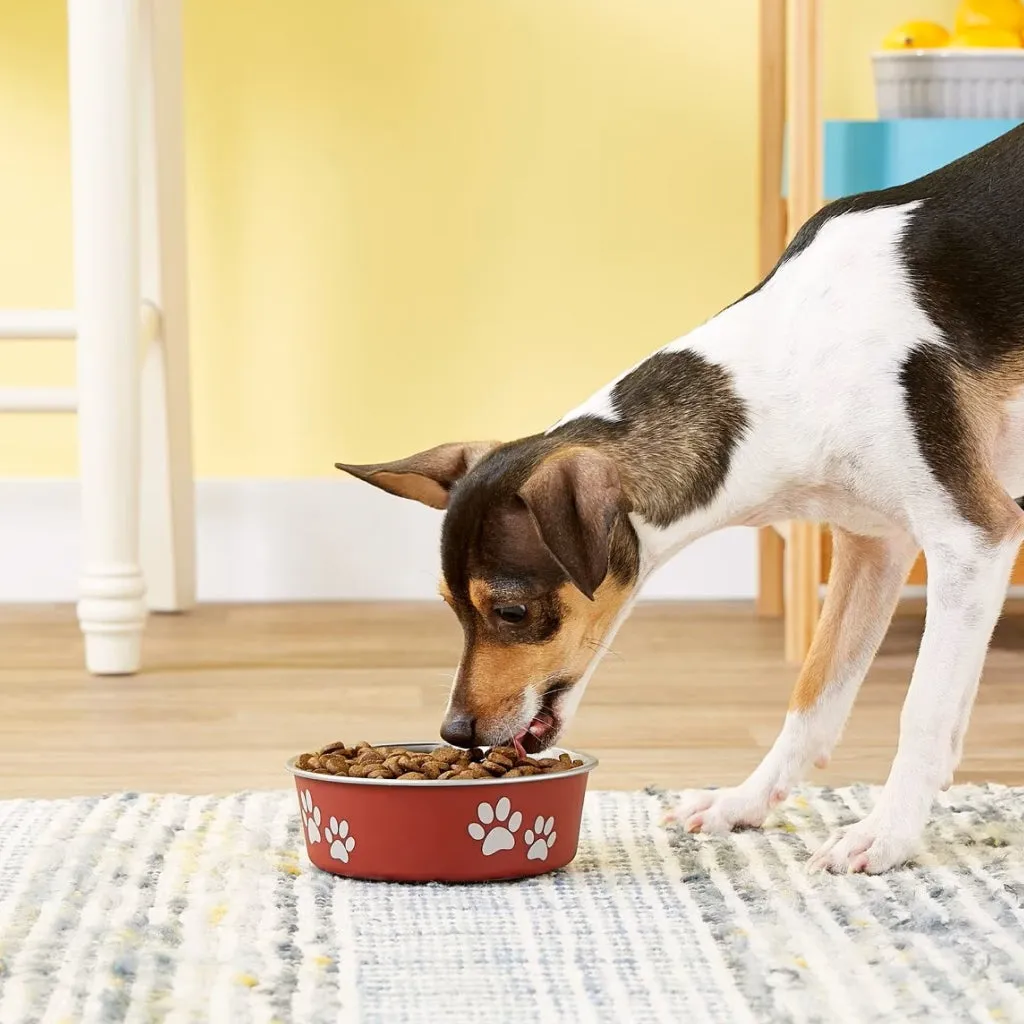 Loving Pets Classic Merlot Non-Skid Stainless Steel Pet Bowl