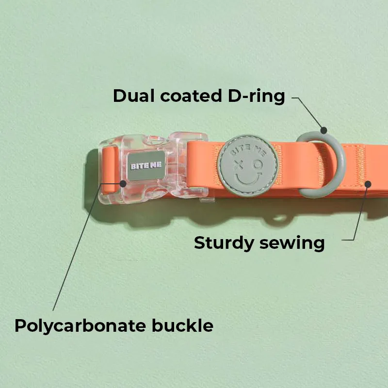 Macaron Waterproof Collar - Pistachio