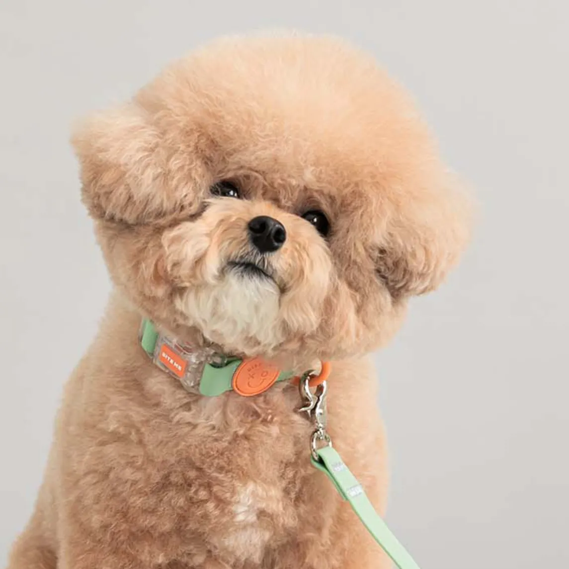 Macaron Waterproof Collar - Pistachio