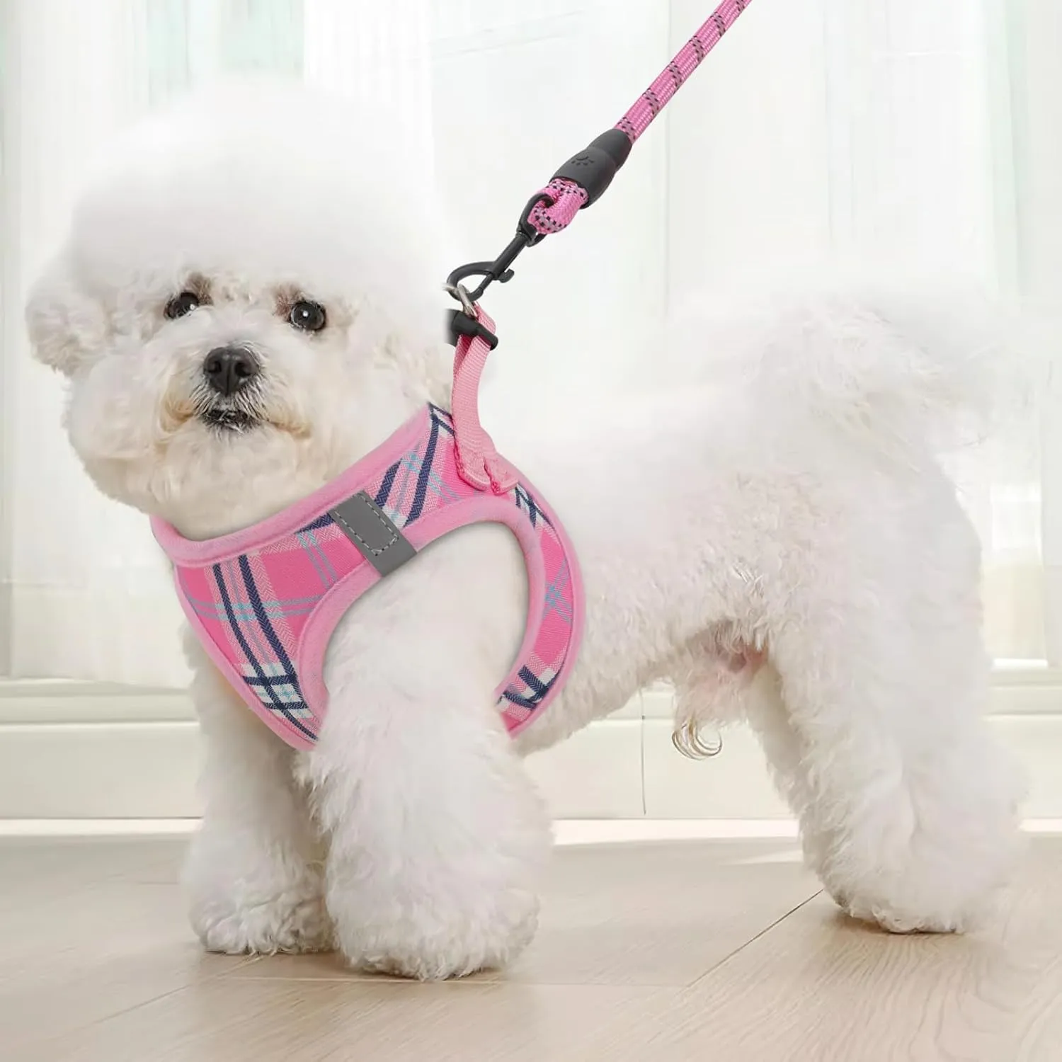 Magshion No Pull Dog Harness and Leash Set for Extra Small Dogs, Heavy Duty 5ft Leash, Padded Pet Vest with Adjustable Velcro & Reflective Strips for Walking, Running, Training in Night, Pink, XS