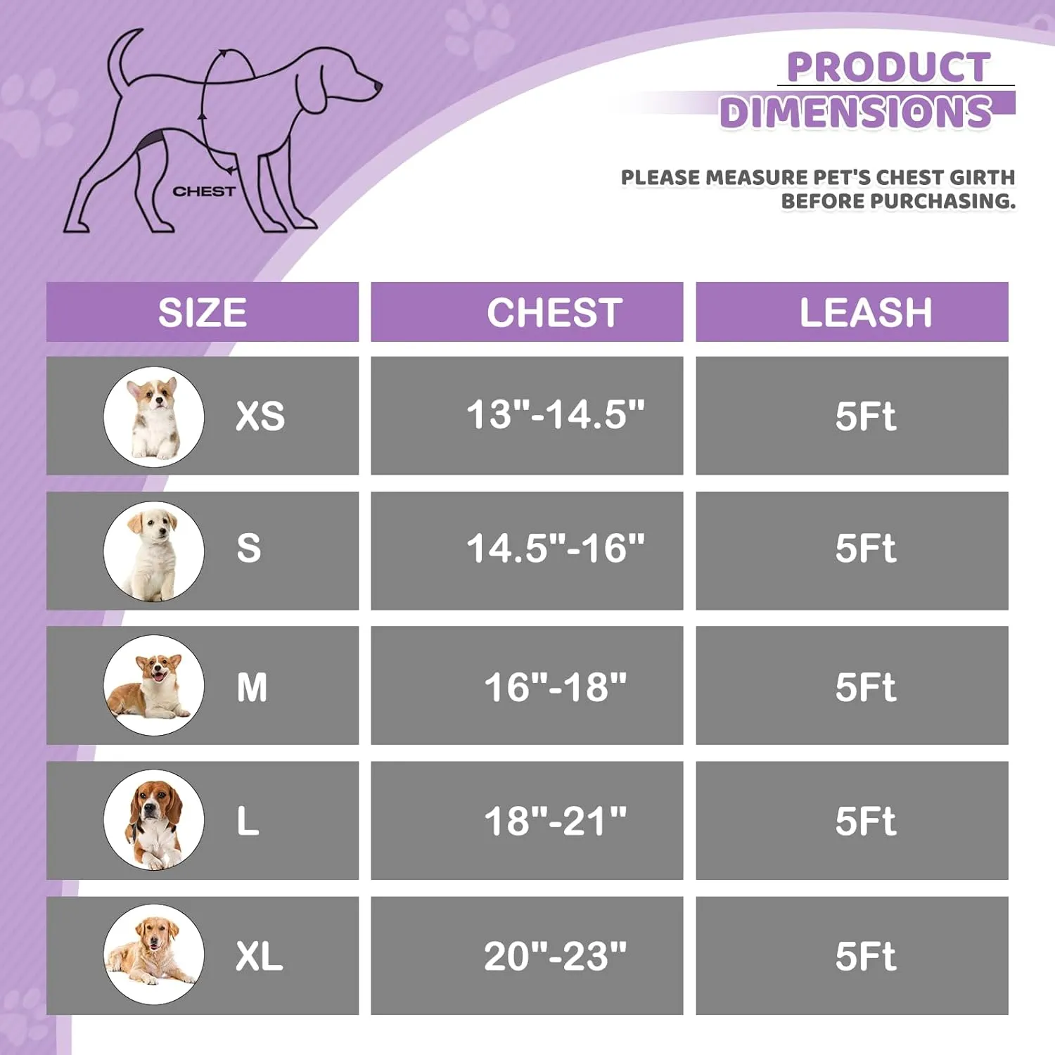Magshion No Pull Dog Harness and Leash Set for Medium Dogs, Heavy Duty 5ft Leash, Padded Pet Vest with Adjustable Velcro & Reflective Strips for Walking, Running, Training in Night, Purple, M
