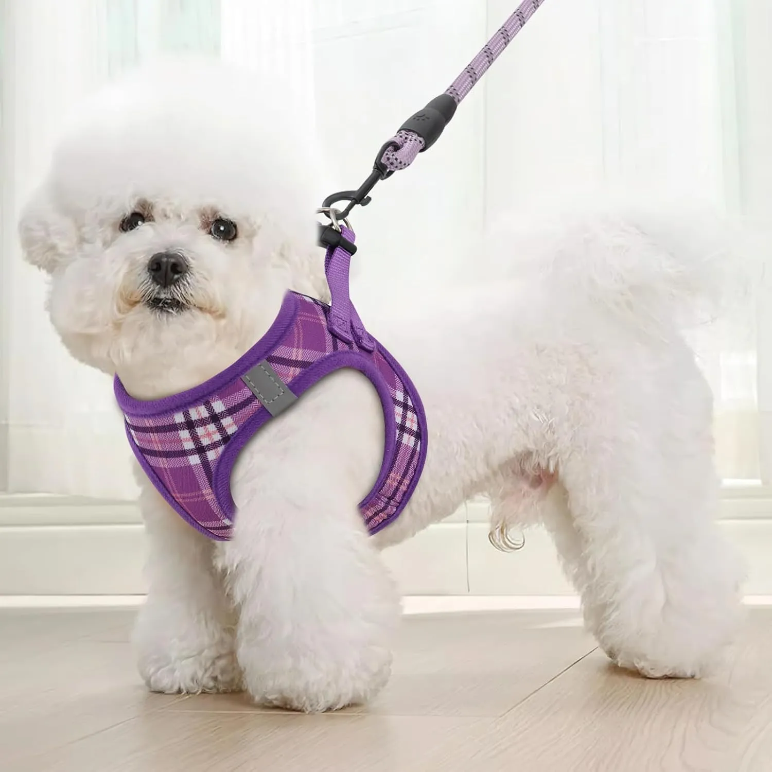 Magshion No Pull Dog Harness and Leash Set for Medium Dogs, Heavy Duty 5ft Leash, Padded Pet Vest with Adjustable Velcro & Reflective Strips for Walking, Running, Training in Night, Purple, M