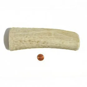 Medium Density Jumbo  Whole Antler Chew