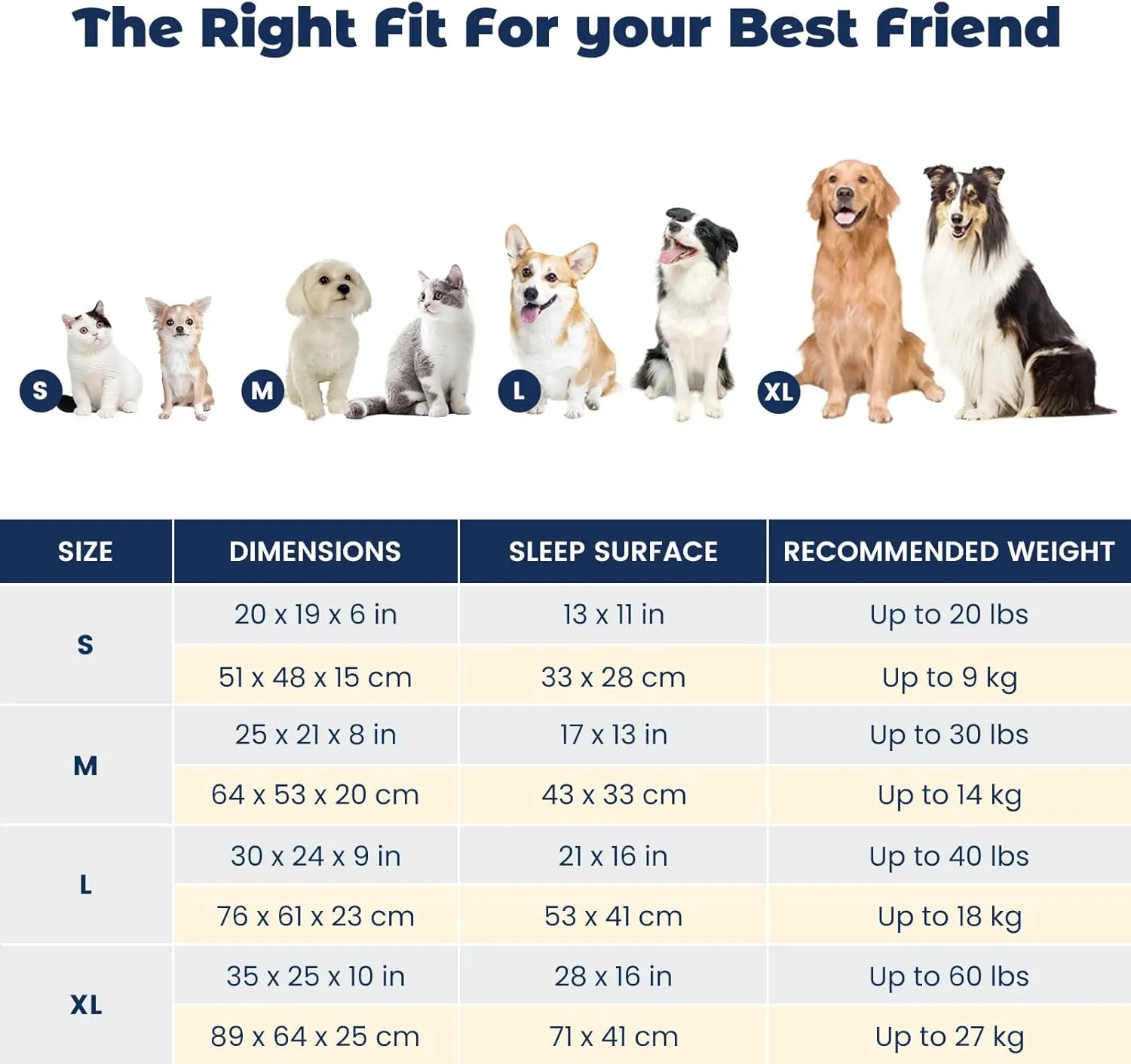 Miguel Cat Bed for Indoor Cats Washable Removable Cover - Small Pet Bed with Side Square Dog Bed Rectangle Soft Puppy Bed Bolster Cuddle Kitten Bed with Wall Non-Slip Bottom, Dark Gray 20 Inch