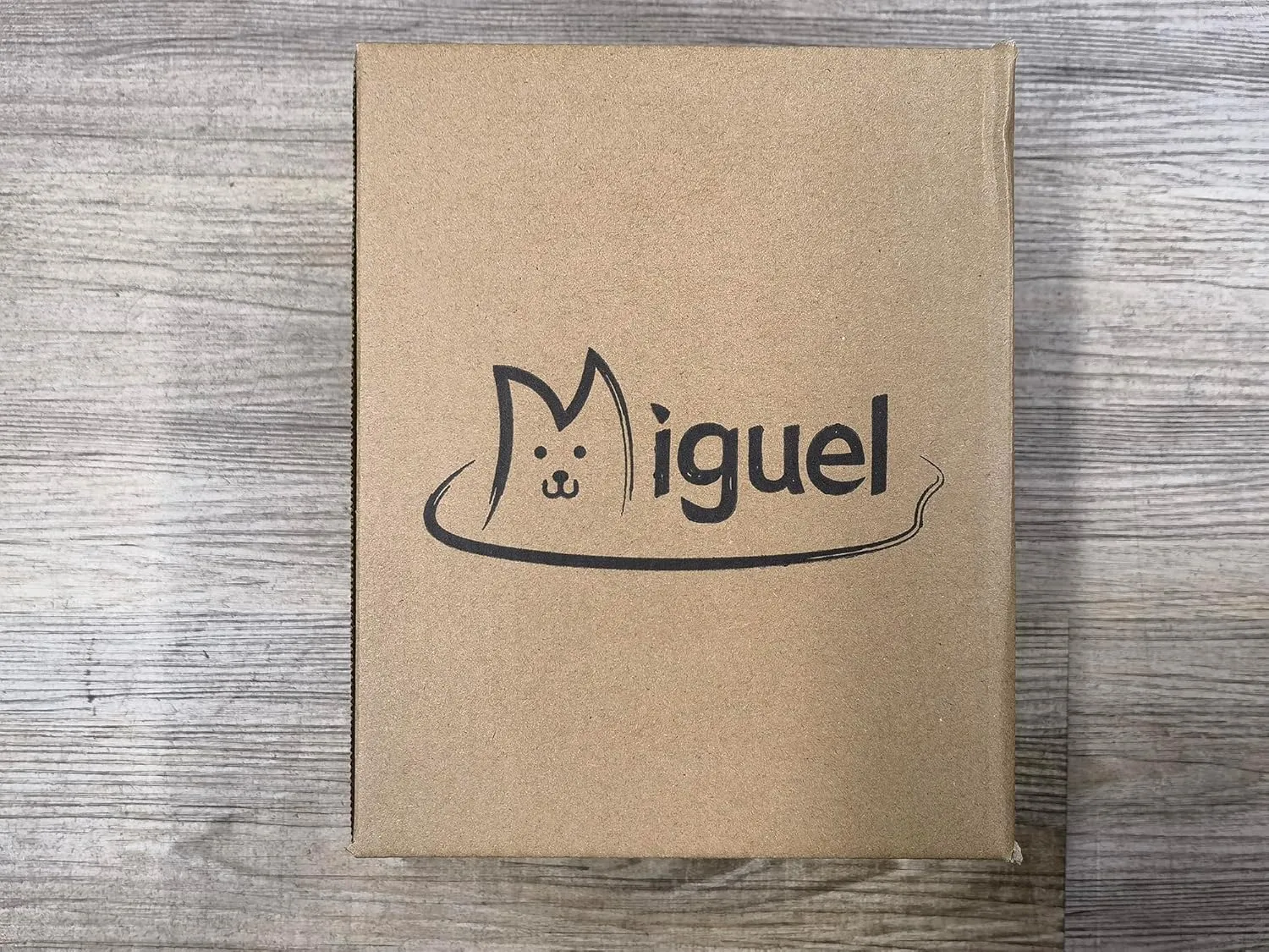 Miguel Cat Bed for Indoor Cats Washable Removable Cover - Small Pet Bed with Side Square Dog Bed Rectangle Soft Puppy Bed Bolster Cuddle Kitten Bed with Wall Non-Slip Bottom, Dark Gray 20 Inch