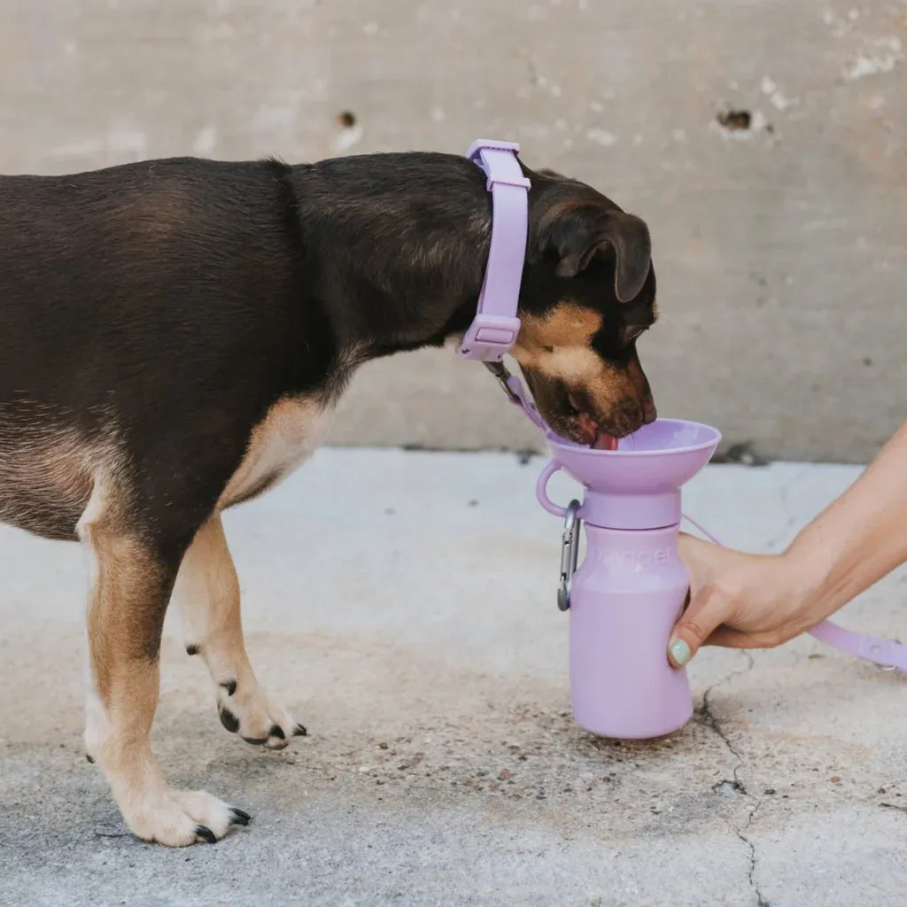 Mini Dog Travel Bottle 15oz - Lilac
