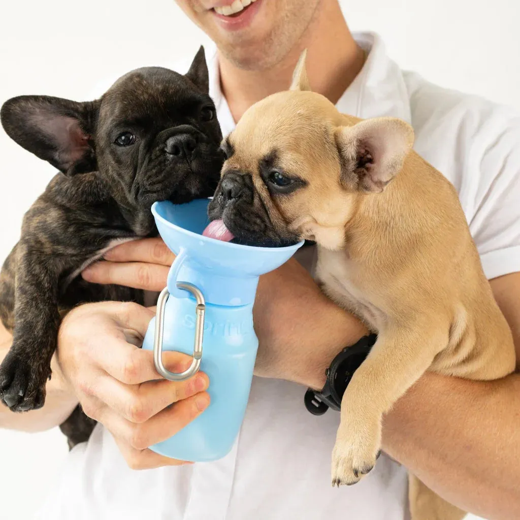Mini Dog Travel Bottle 15oz - Sky Blue