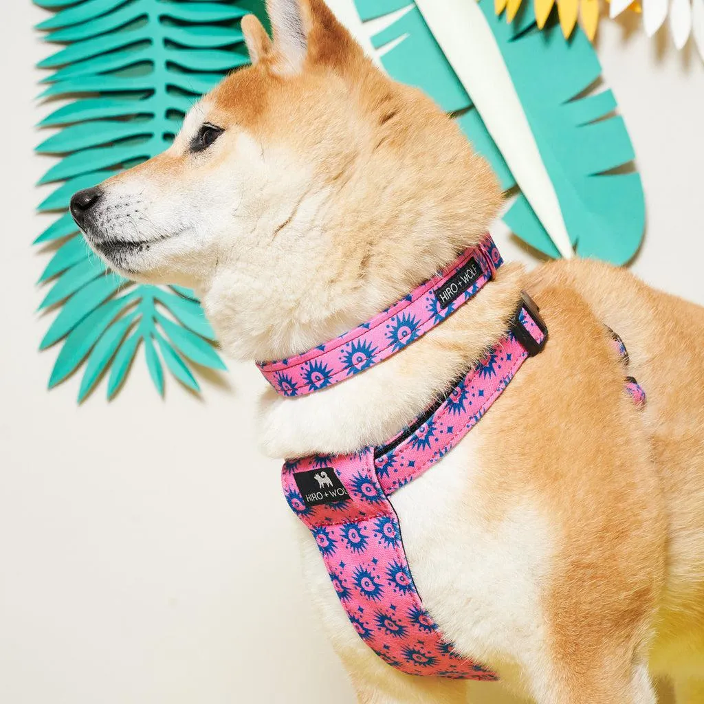 Nebula Dog Harness
