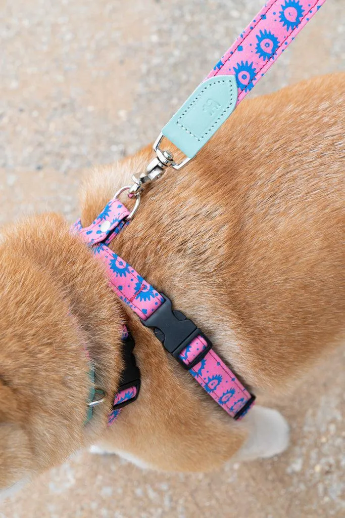 Nebula Dog Harness