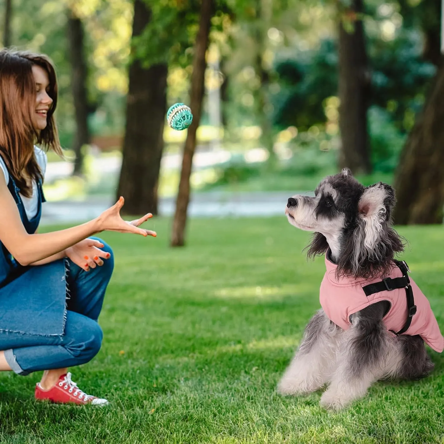 Norbi Dog Coat - Winter Jacket with Built-in Harness, Adjustable Warm Coats for Small to Large Dogs, Perfect for Cold Weather