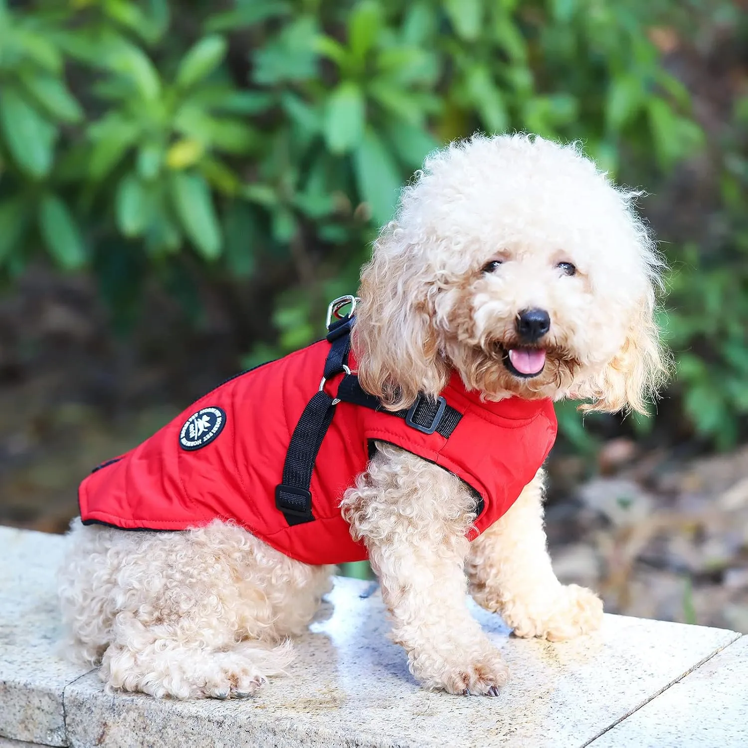 Norbi Dog Coat - Winter Jacket with Built-in Harness, Adjustable Warm Coats for Small to Large Dogs, Perfect for Cold Weather