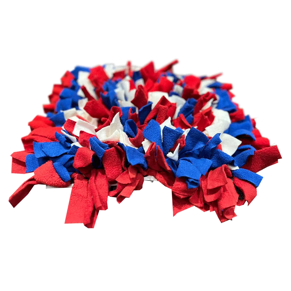 NoseyPaws Snuffle Mat