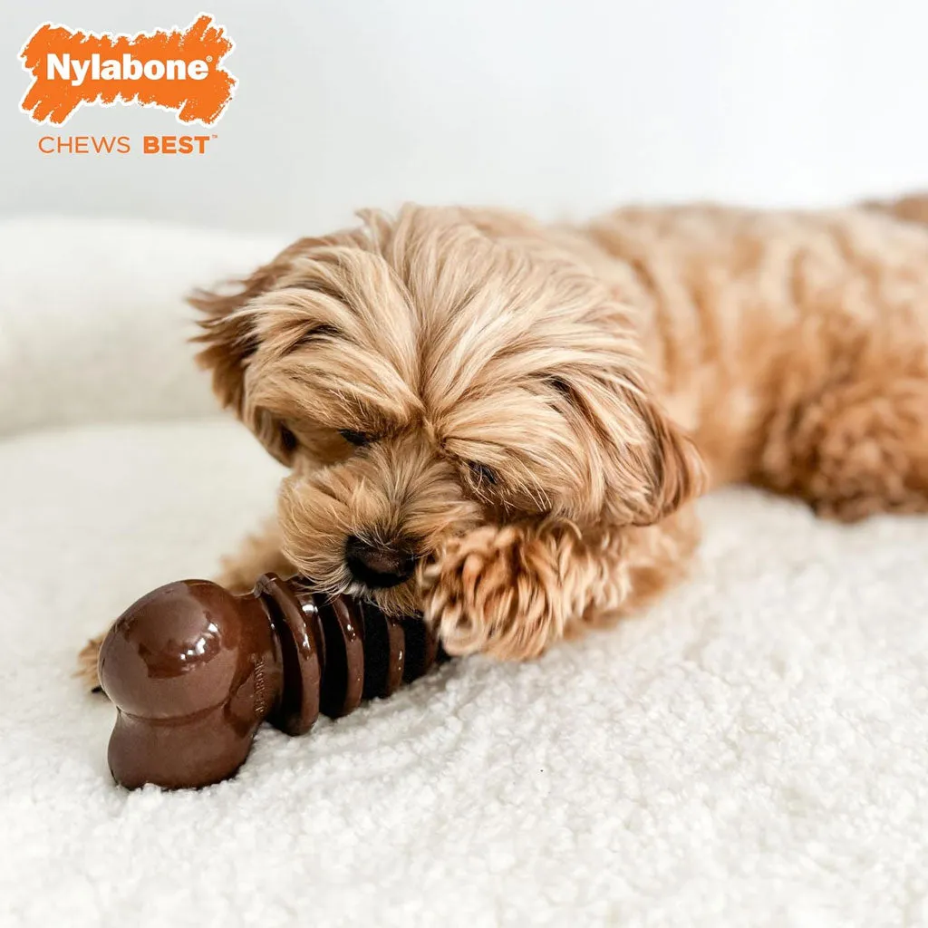Nylabone Chill & Chew Medley Flavor Flexi Dog Chew Toy, Medium/Wolf