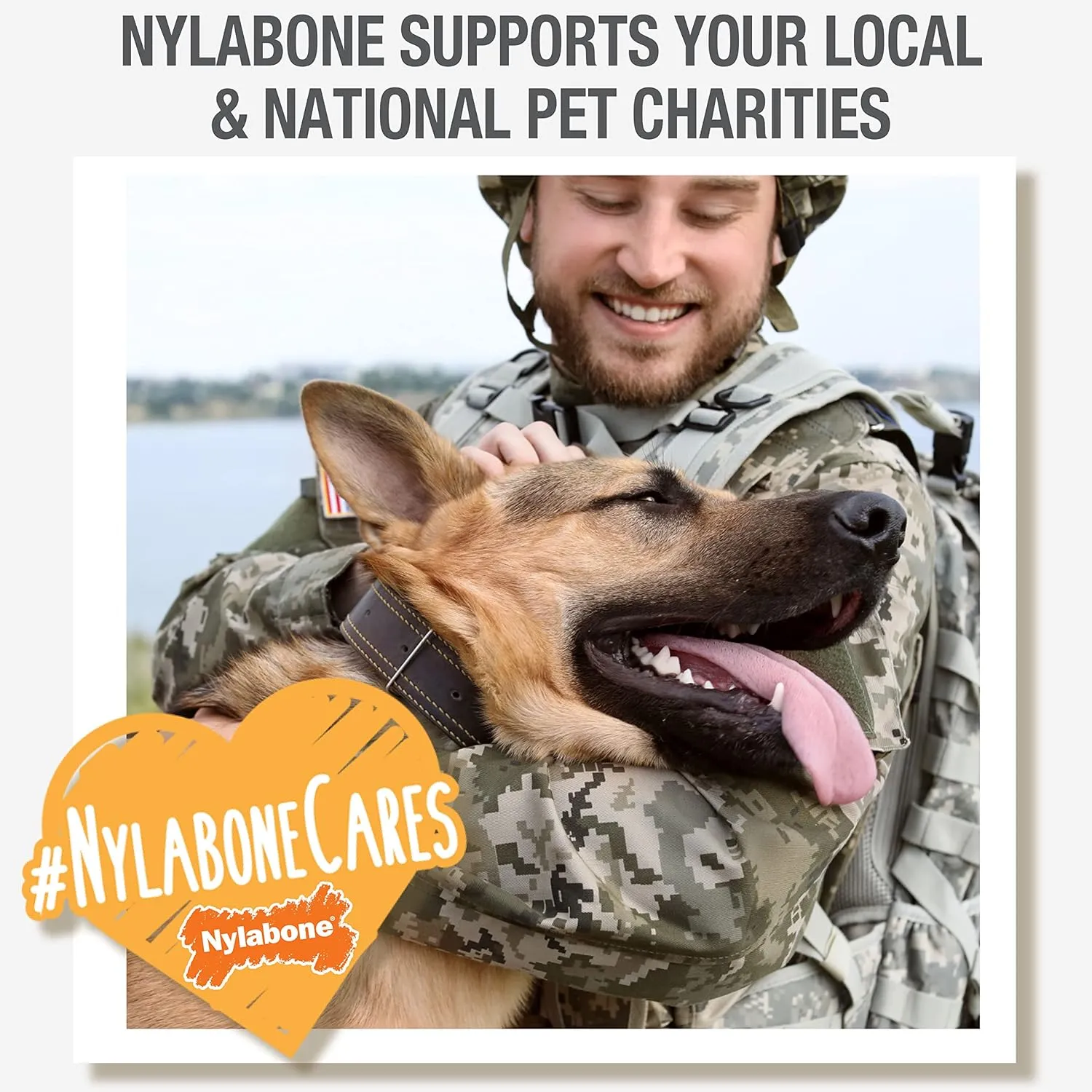 Nylabone Healthy Edibles Natural Dog Chews Long Lasting Chew Treats for Dogs, Roast Beef Flavor, X-Small/Petite (4 Count)