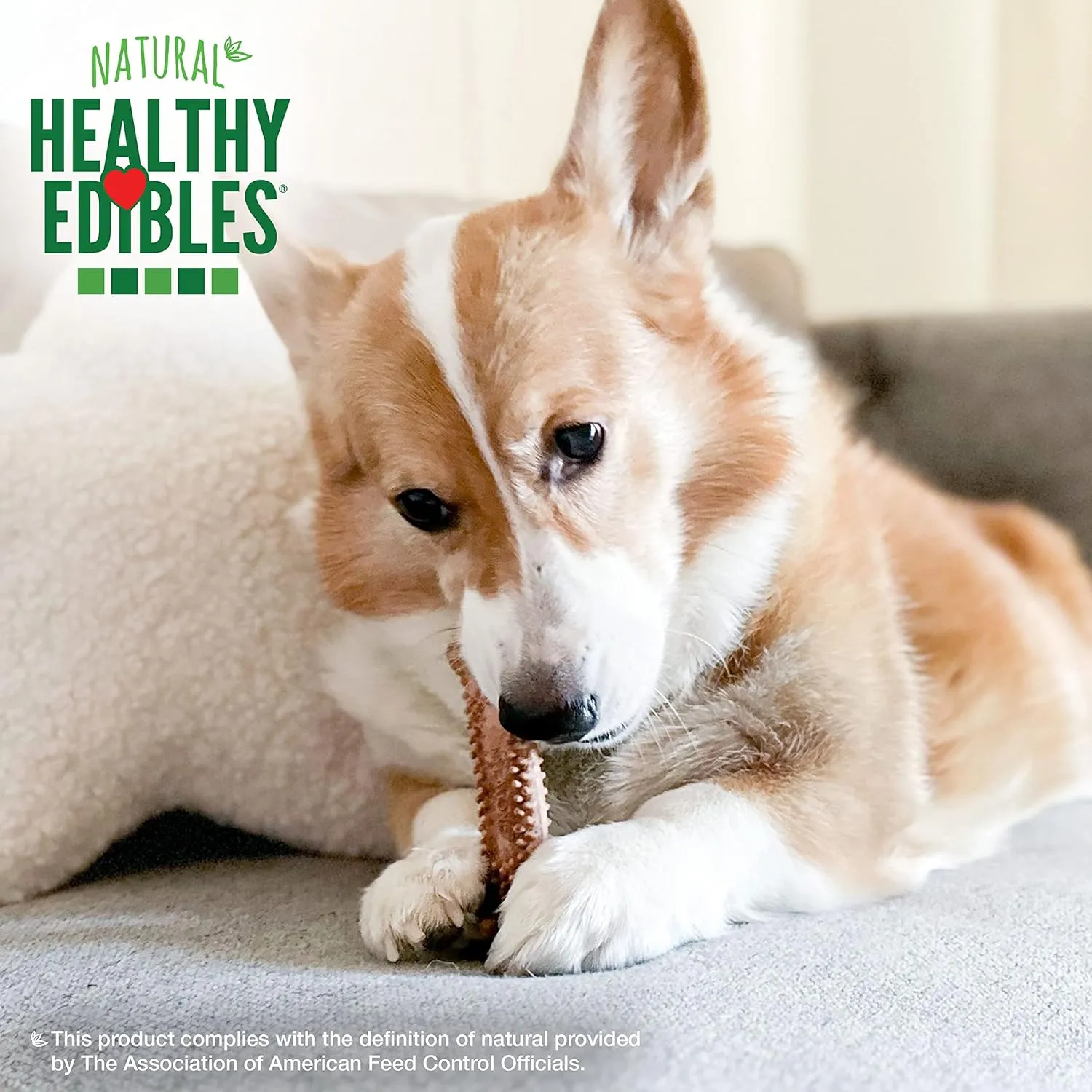 Nylabone Healthy Edibles Natural Dog Chews Long Lasting Chew Treats for Dogs, Roast Beef Flavor, X-Small/Petite (4 Count)