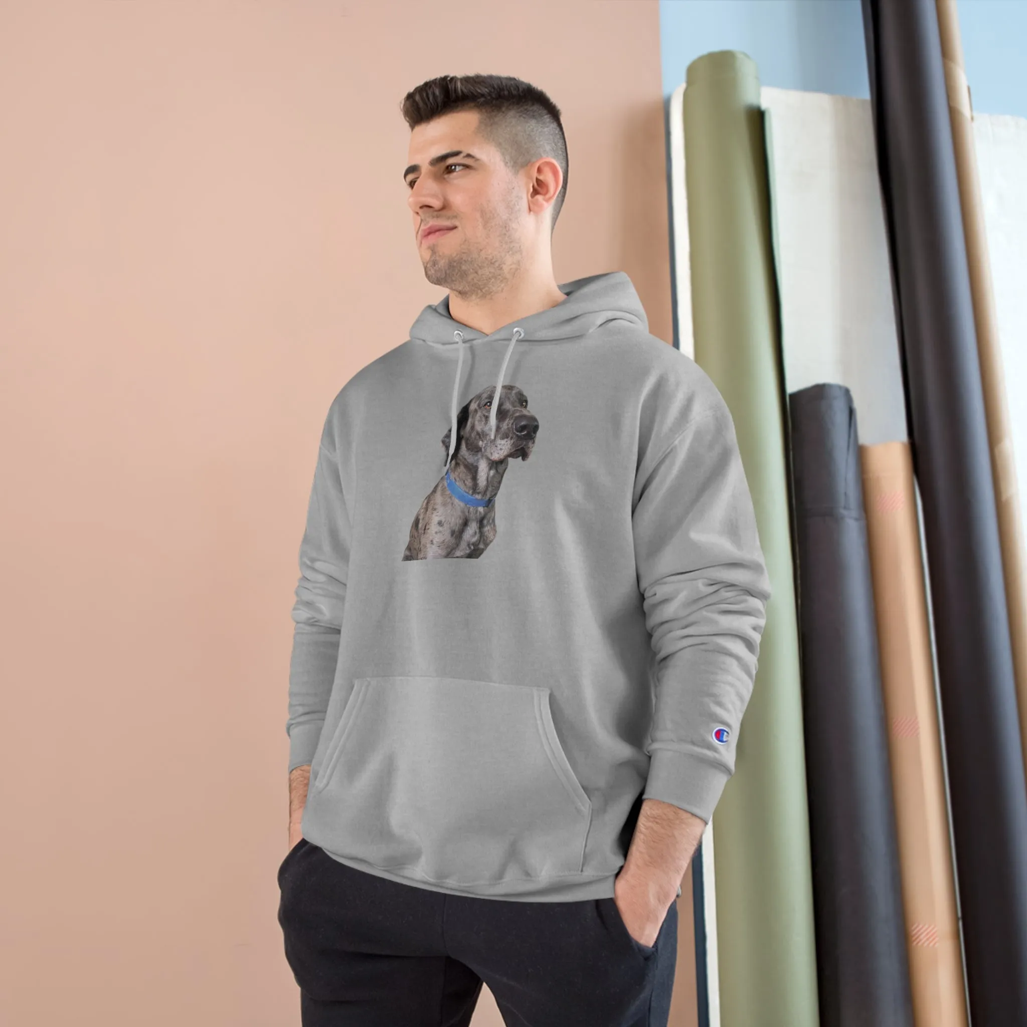 Odin Champion Hoodie