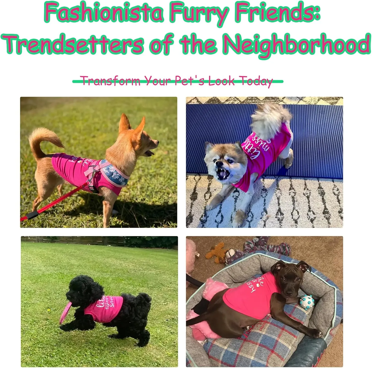 Paiaite Dog Clothes Fashionable Sleeveless Pet Vest: 'Little Miss Sassy' Printed Cotton Dog Shirt, Ideal for Small, Medium, and Large Breeds, Ensuring Comfort and Breathability Black M