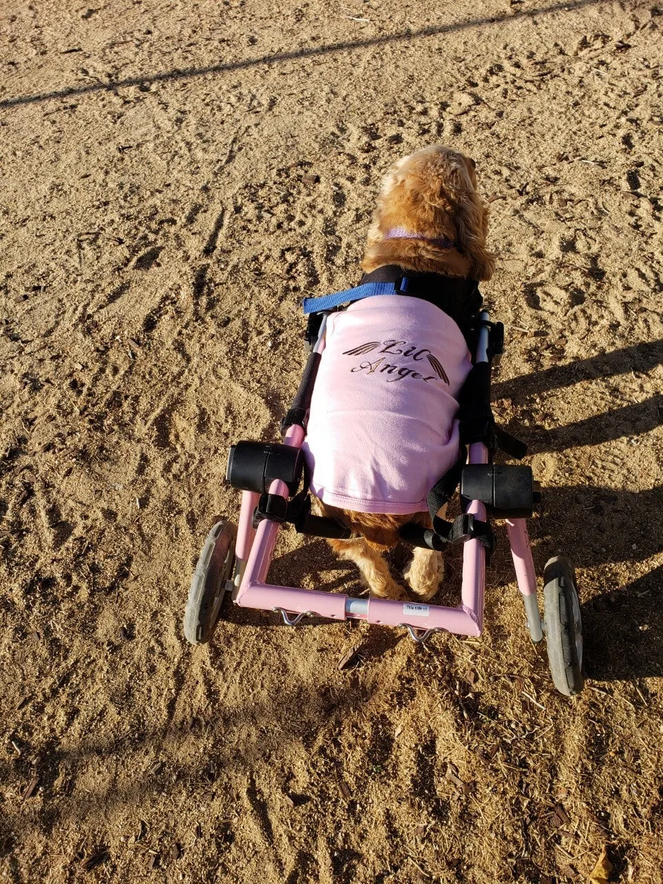 Parisian Pet Princess Embroidered Tshirt