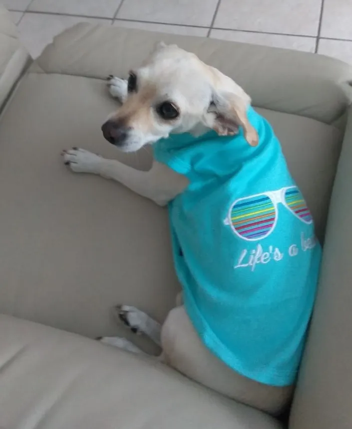 Parisian Pet Princess Embroidered Tshirt