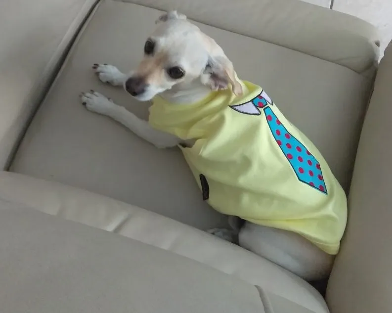 Parisian Pet Princess Embroidered Tshirt