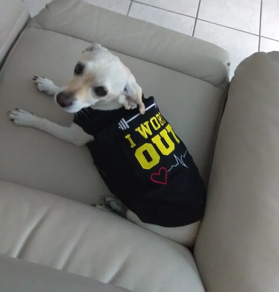 Parisian Pet Princess Embroidered Tshirt
