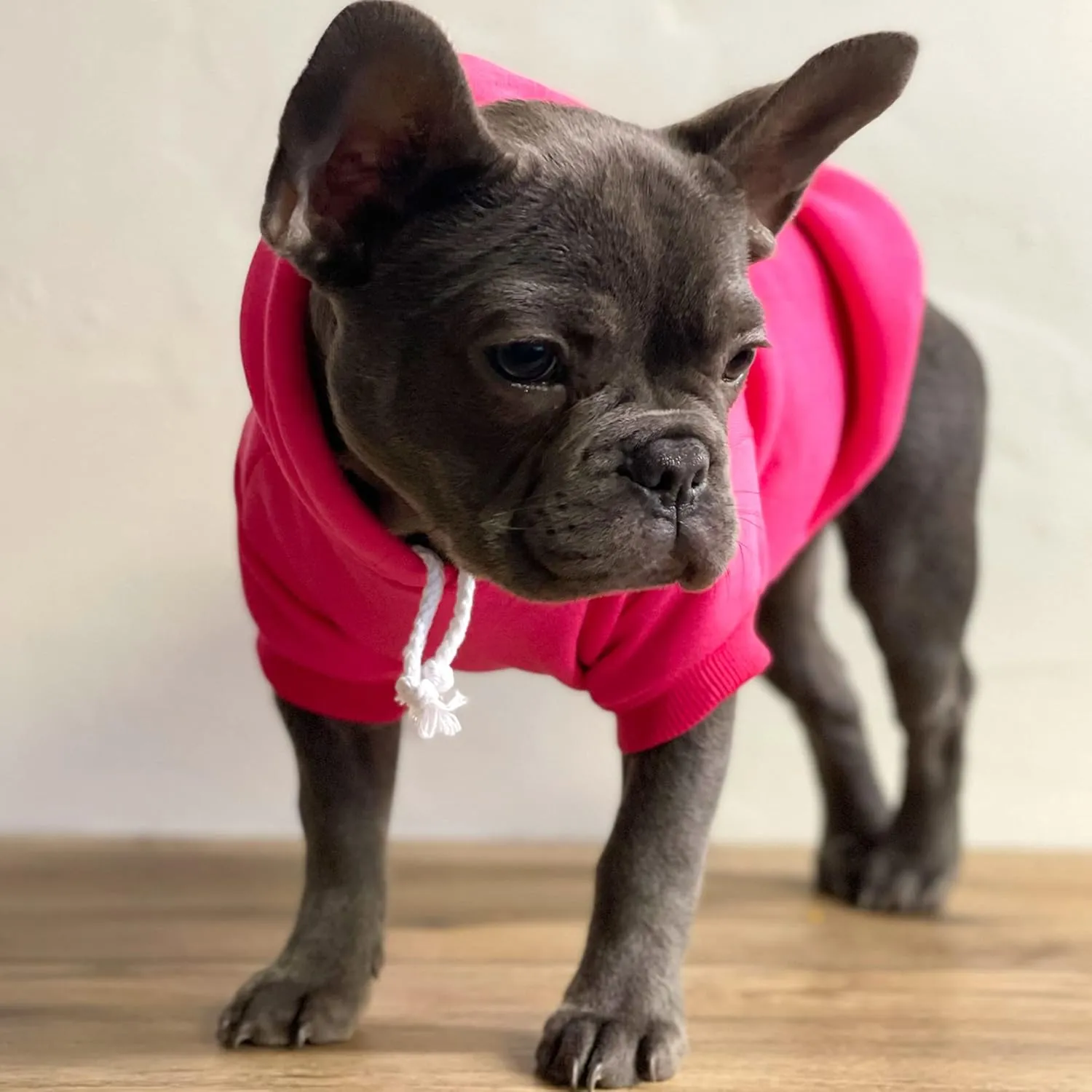 Park Life Dog Hoodie Fleece Lined Pullover Sweatshirt with Leash Hole (Red, 5X-Large 136)