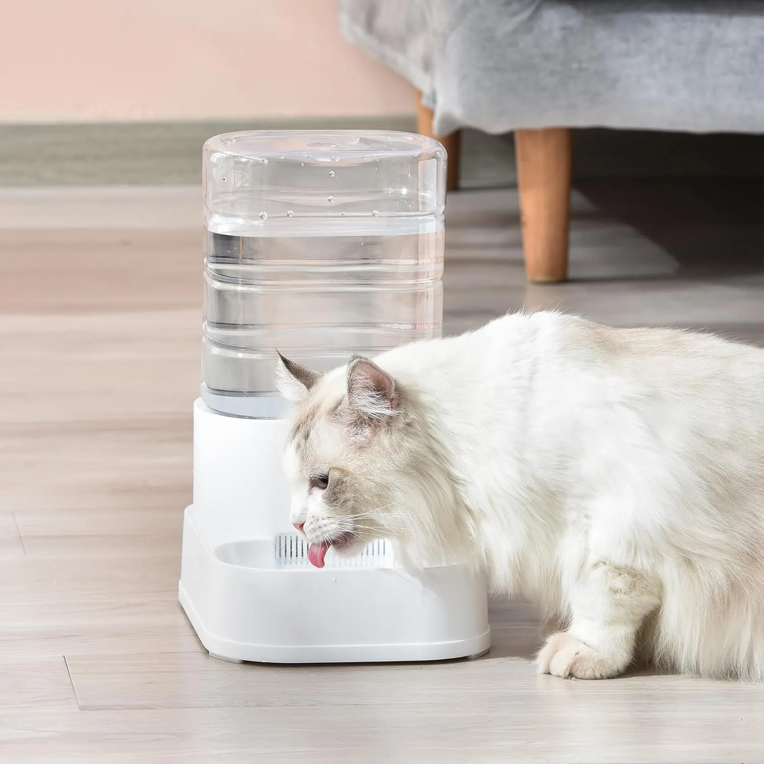 PAWGETHER Gravity Automatic Pet Water Dispenser with 1 Filter for Cats and Small Dogs 1 Gallon/3.5L Auto Pet Waterer Dog Water Dispenser, Easy to Fill