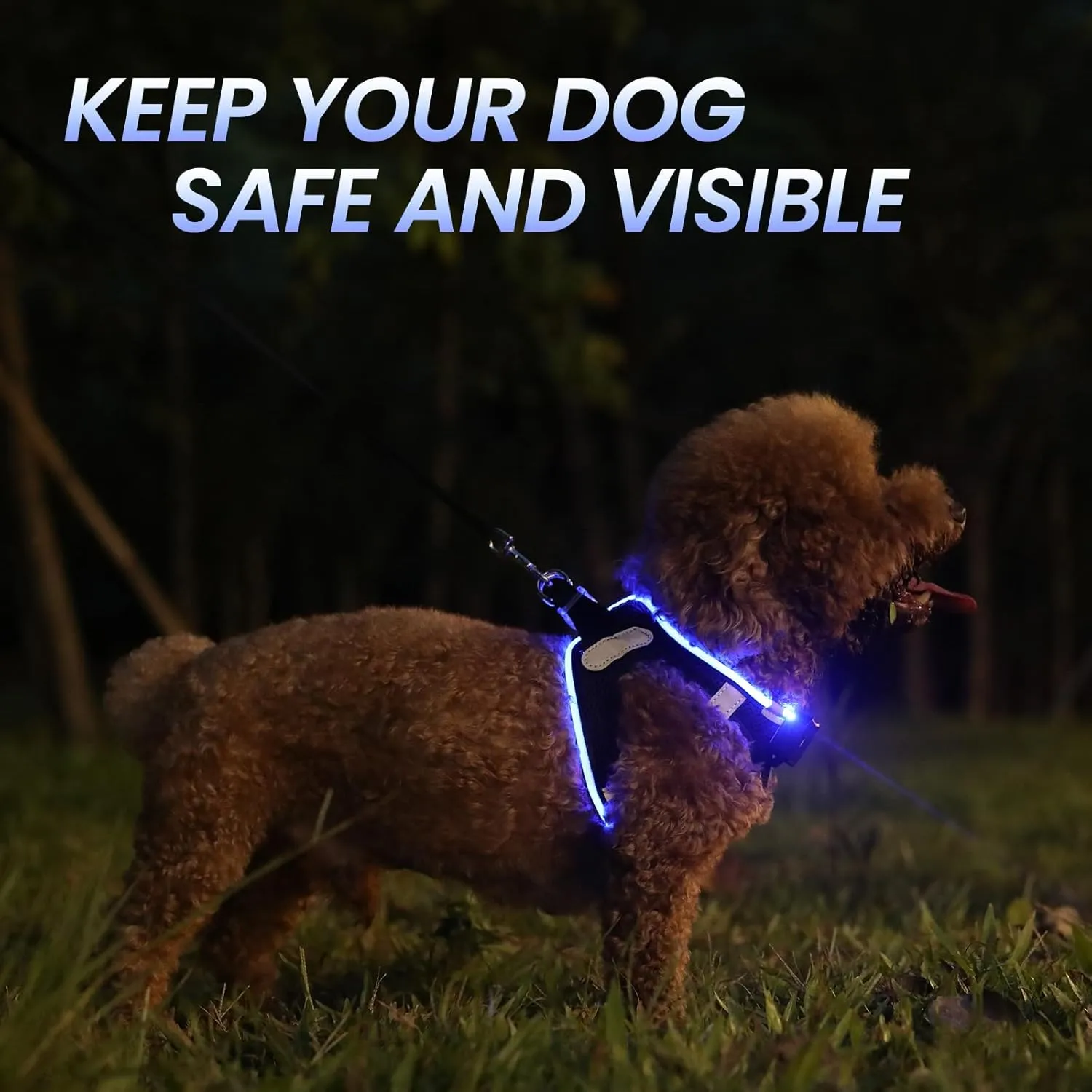 PceoTllar Light Up Dog Harness, LED No Pull Reflective Dog Harness, Flashing Lighted for Night Walking - Small/Medium, (Black Blue,xs)