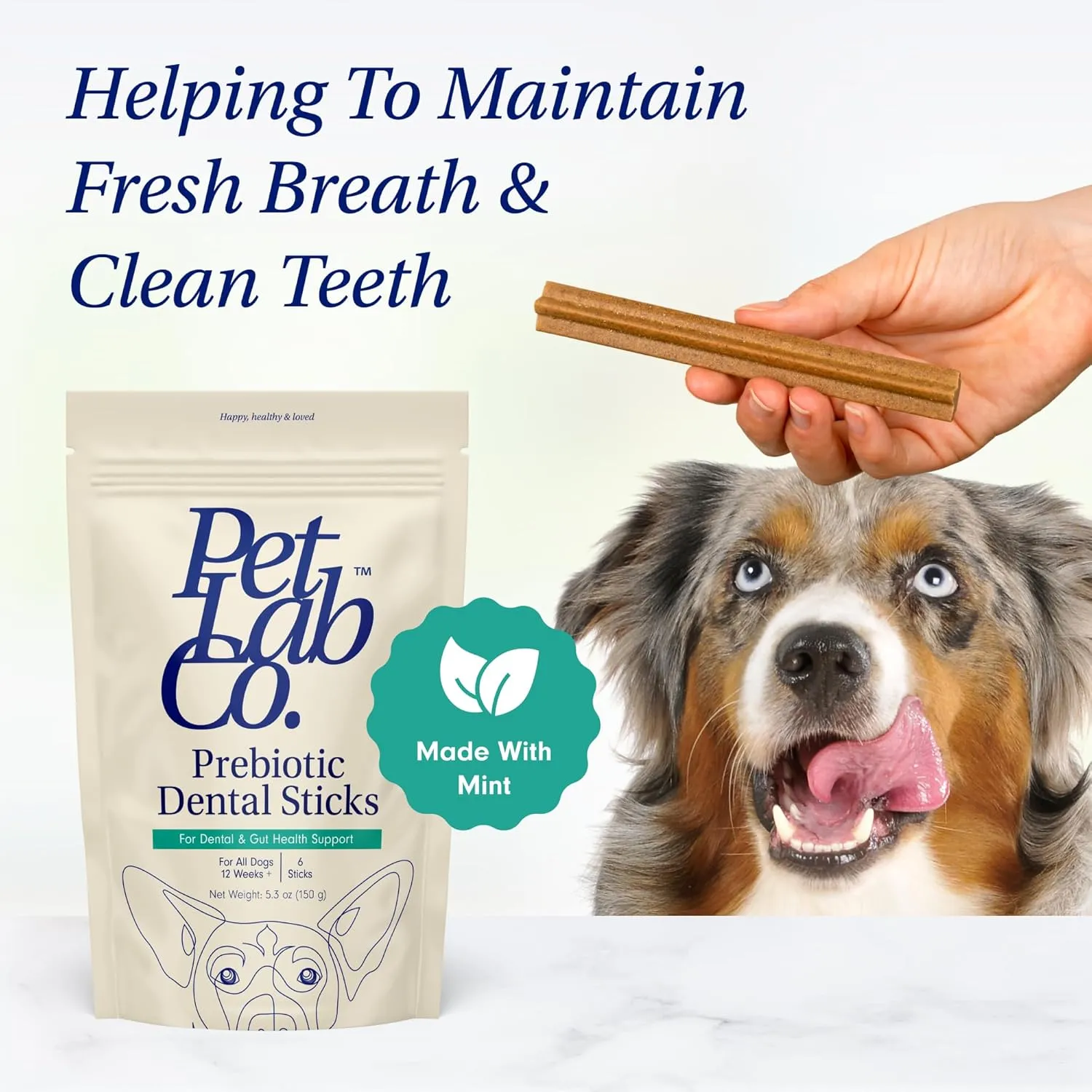 PetLab Co. Dental Sticks  Dog Dental Chews -Target Plaque & Tartar Build-Up at The Source - Designed to Maintain Your Dogs Oral Health, Keep Breath Fresh and Provide Digestive Help (6 Sticks)