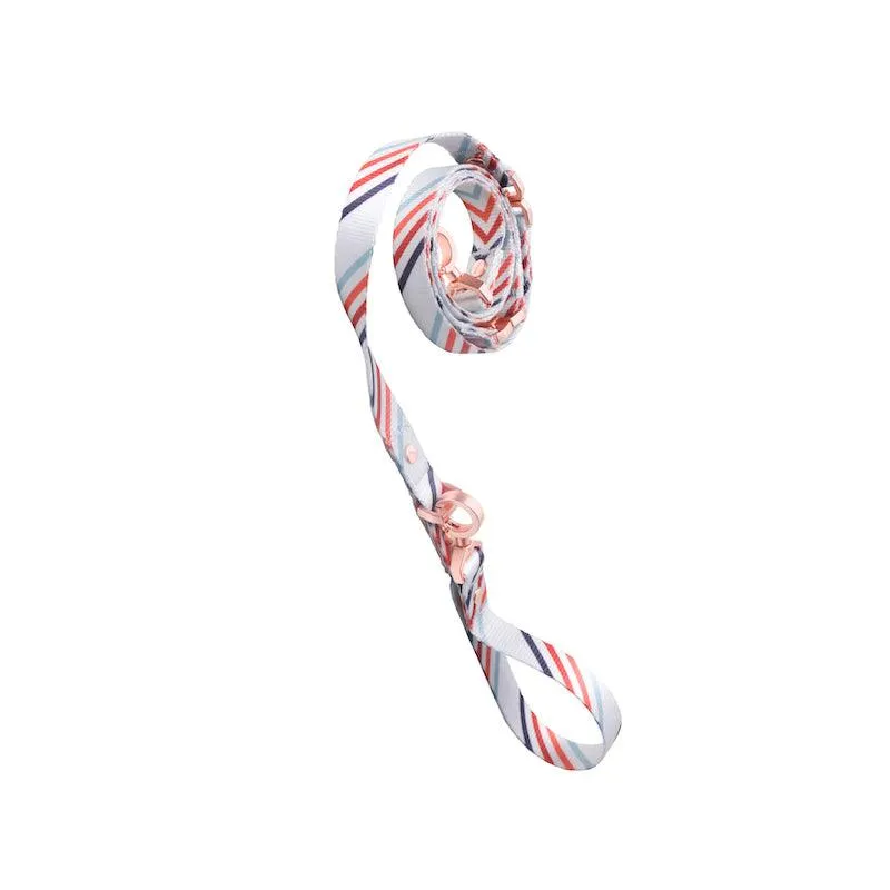 PIDAN Dog Leash Bracelet Type