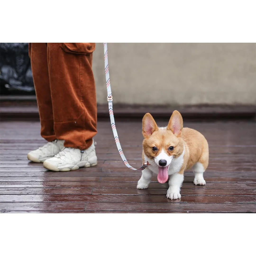 PIDAN Dog Leash Bracelet Type