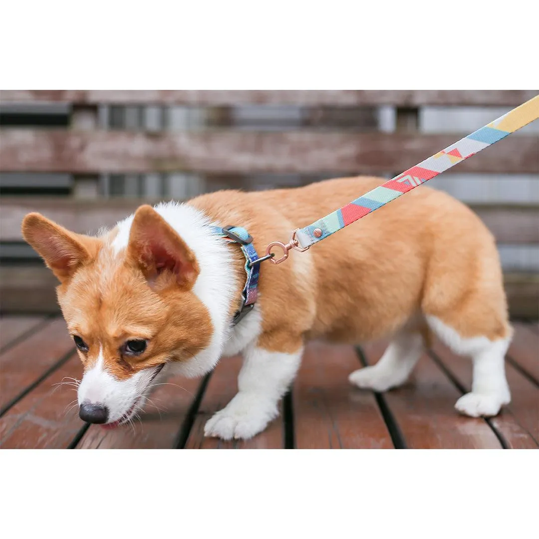 PIDAN Dog Leash Bracelet Type