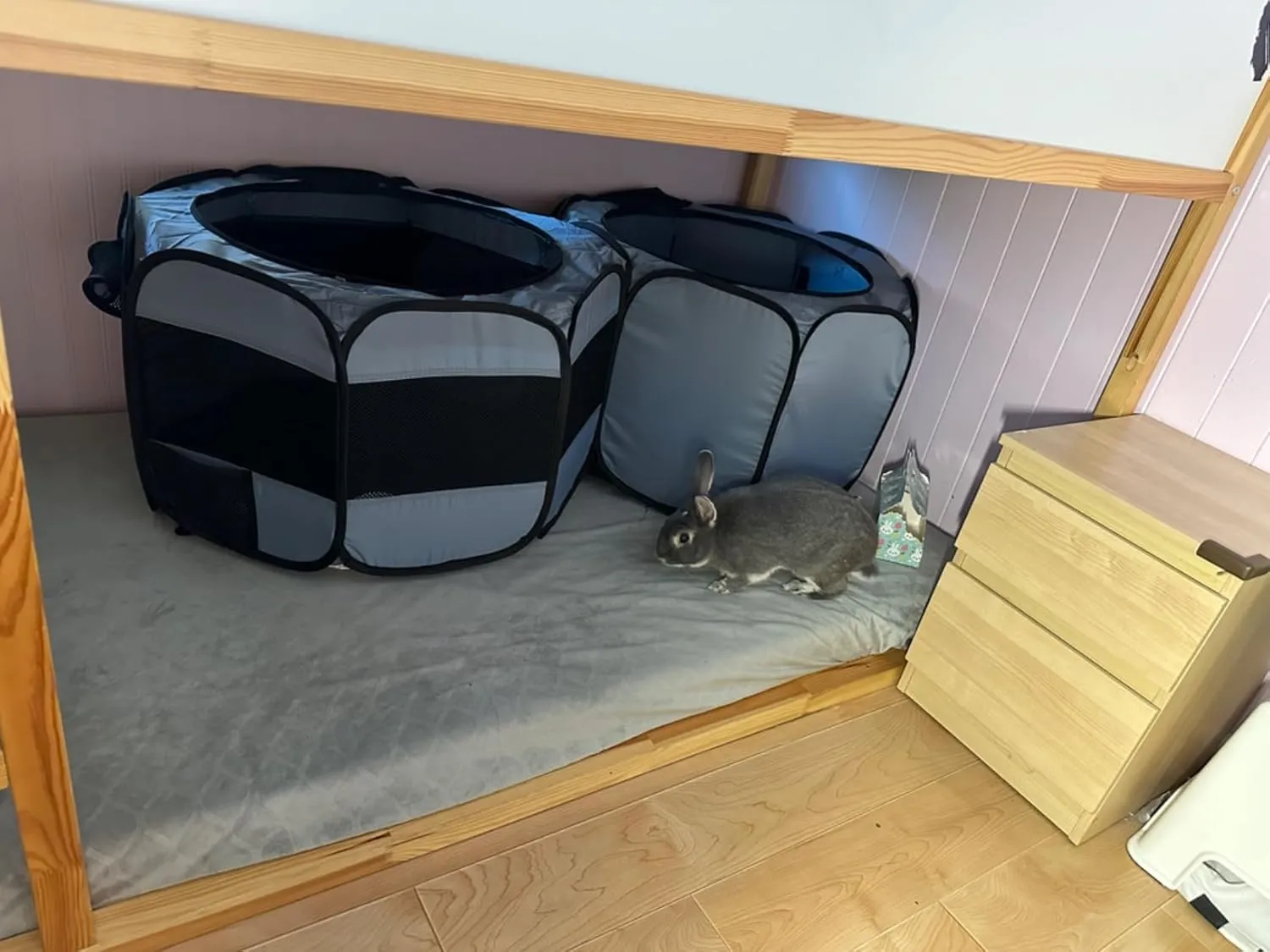 Small Animals Playpen Pop up Small Pet Cage Enclosure Hutch Tent Chick Run Brooder Box Coop Foldable Kennel for Kitten Ferret Puppy Guinea Pig Rabbit Hamster Chinchillas(No Divider, Unified Space)